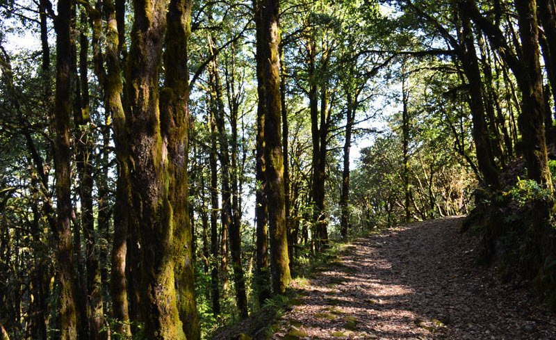 Binsar Wildlife Sanctuary